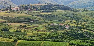 Vùng rượu vang Medoc